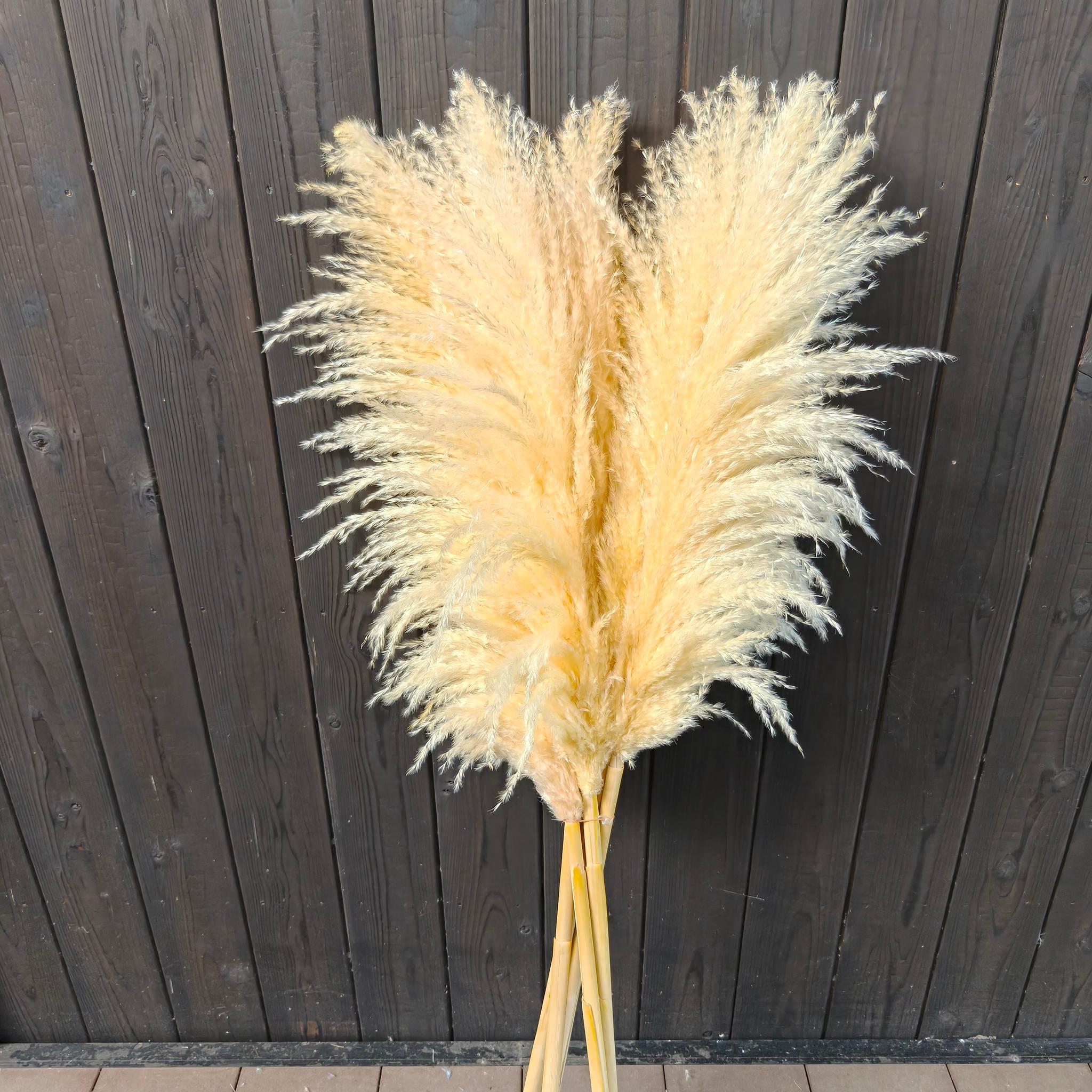 今季！暖色系の秋冬パンパスグラス  新築祝いドライフラワー インテリア ウェディング　即納クリスマス2025 | 7枚目